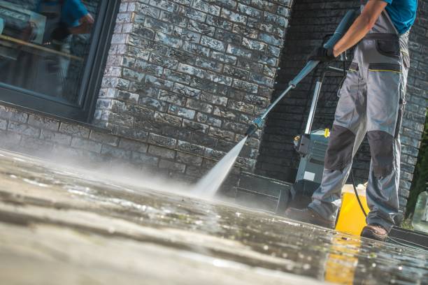 Best Animal Enclosure Cleaning  in Redondo Beach, CA